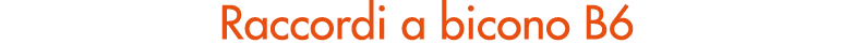 Raccordi a bicono B6